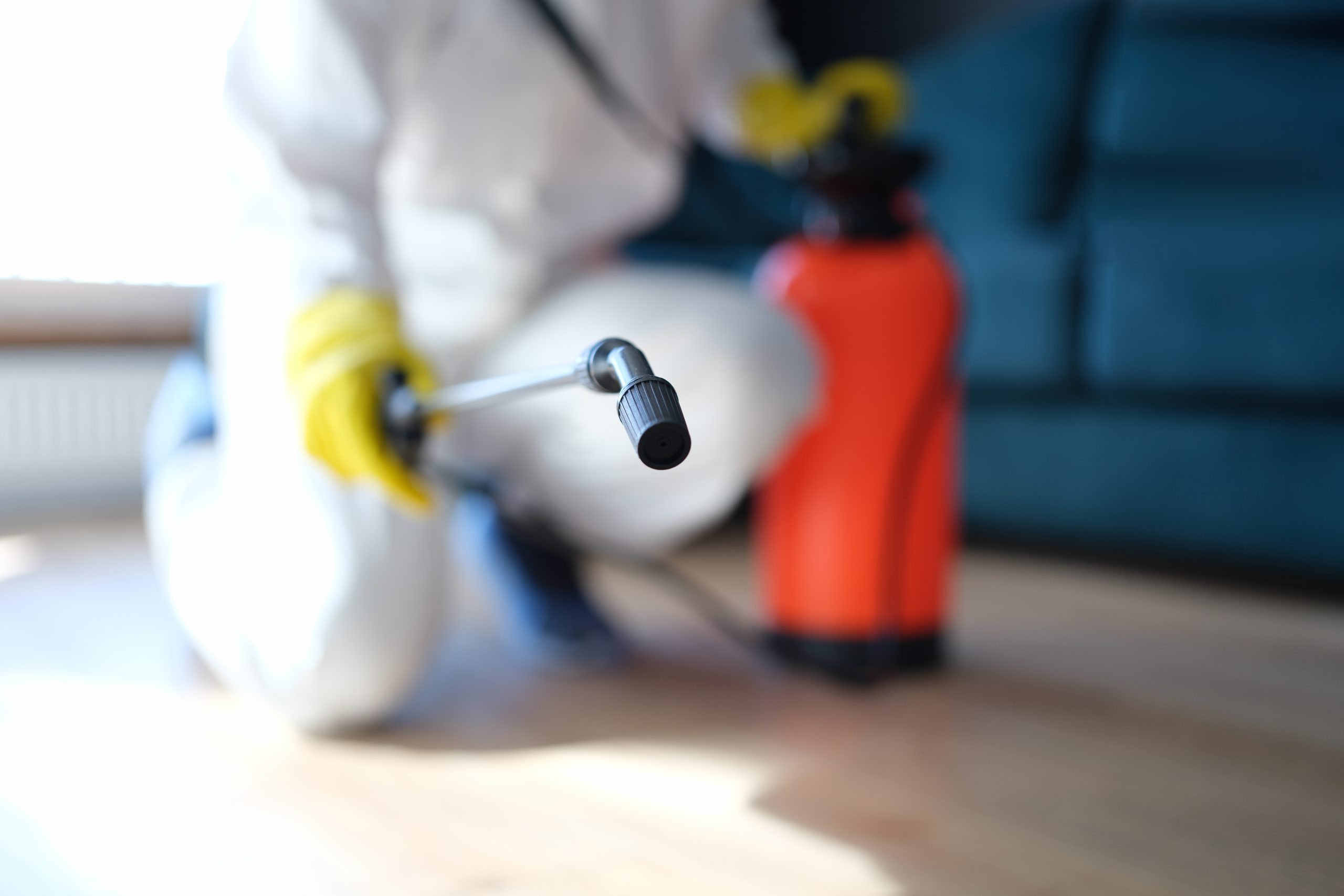 Cleaning and Sanitization